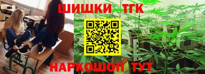 СК Вязьма