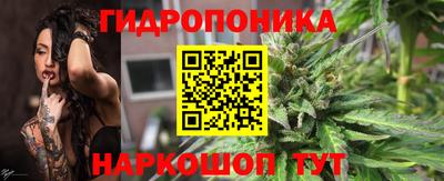 СК Вязьма