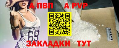 СК Вязьма