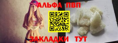 СК Вязьма